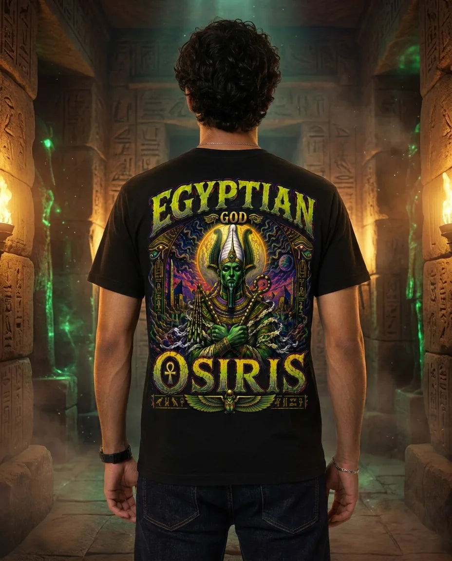 Color: Black | View: Back | Osiris Tee